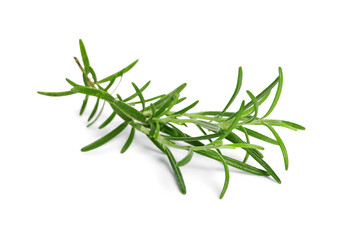 Fototapeta premium Sprig of fresh rosemary isolated on white