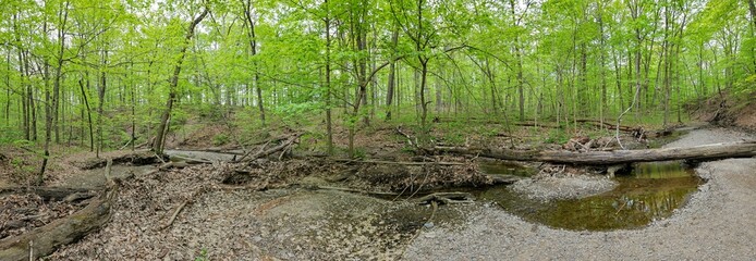 Highbanks Metro Park Spring Creek Panorama