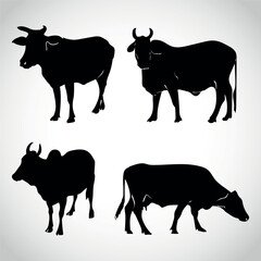 Set of cows. Black silhouette cow isolated on white.