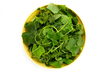 Lvy Gourd leaves on white background.