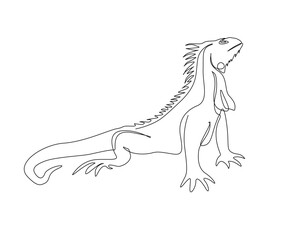Continuous one line drawing of iguana. Lizard - reptile single line art vector illustration. Editable stroke.