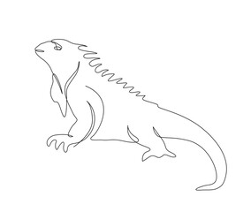 Continuous one line drawing of iguana. Lizard - reptile single line art vector illustration. Editable stroke.