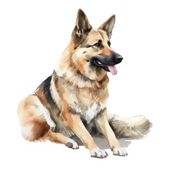 Watercolor dog breed shepherd portrait illustration. Hand drawn illustration on white background, isolated object