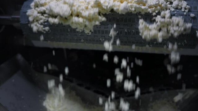 Close-up Of Cottage Cheese Falling Onto A Conveyor. Cottage Cheese Production