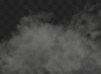 White smoke puff isolated on transparent background.. PNG. . Vector illustration