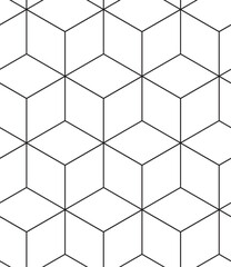 Abstract geometric pattern background with hexagonal and triangular texture. Black and white seamless grid lines. Simple minimalistic pattern