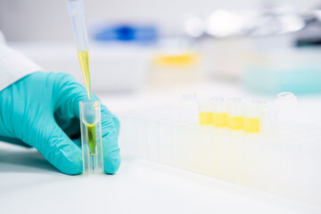 Filling the microcuvette with yellow solution by automatic pipette in chemical laboratory by...