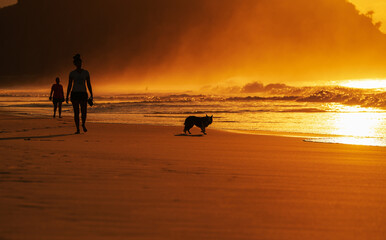 Fototapeta premium A woman plays with her dog on Copacabana beach during a beautiful sunrise at the ocean in Rio de Janeiro. Travel photo in Brazil.