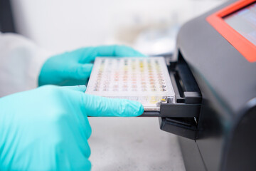 To perform microbiological analysis on multiple samples, a scientist inserts a microplate into a microplate spectrophotometer for biological analysis.