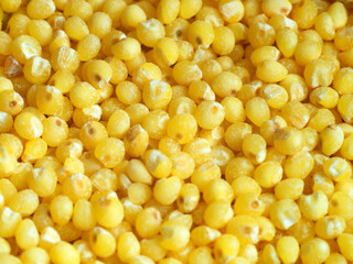 Millet groats close-up top view.