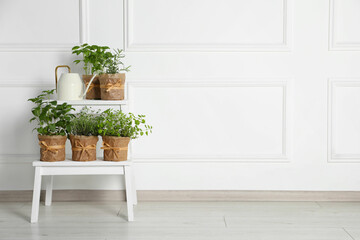 Different aromatic potted herbs and watering can on stand near white wall indoors. Space for text
