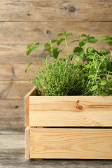 Crate with different aromatic herbs on wooden table
