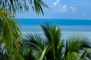 Window of Seascape: Palm Trees on the Beach