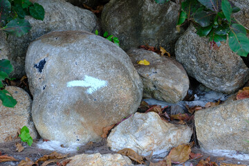 Direction in Nature: Arrow Sign on Rock Wall
