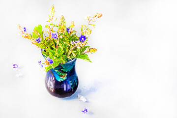 Hallerbos blue flowers in a blue vase on a light background, horizontal