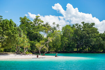 Tropical view beach and sea Duke of York island in Papua New Guinea