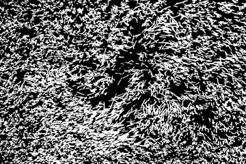 Rustic grunge texture with grain and stains. Abstract noise background. PNG graphic illustration with transparent background.