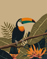 Toucan