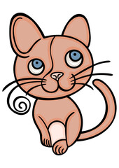 Funny cat isolated on white