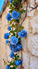 Climbing blue roses on the wall Sunny weather. AI generative