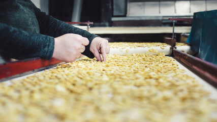hands of an unrecognizable person selecting dried beans in front of a conveyor belt