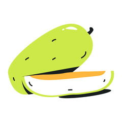Muskmelon flat icon is ready for digital premium use 
