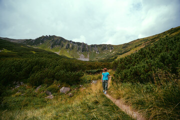 Fototapeta premium A woman hiker with a wide hat moves to the top of Spytsi mountain, Carpathians, Ukraine. He has a long stick in his hands. Travel and active recreation. Nature, flowers. Copy space