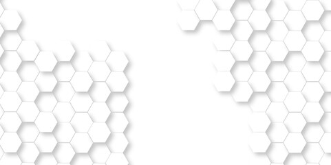 Background with white and black lines Hexagonal structure futuristic white background and Embossed Hexagon , honeycomb white Background ,light and shadow ,Vector.	
