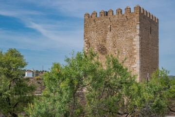 Fototapeta premium Green tree leaves next to the keep tower of Mértola castle, Alentejo PORTUGAL