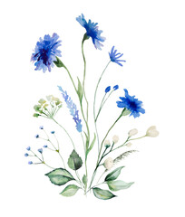 Fototapeta premium Watercolor blue cornflowers and wildflowers bouquet, summer wedding isolated illustration