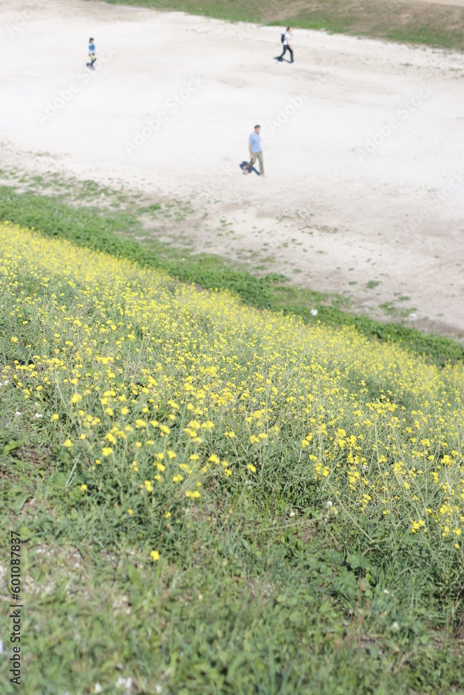 Sticker person walking on a field