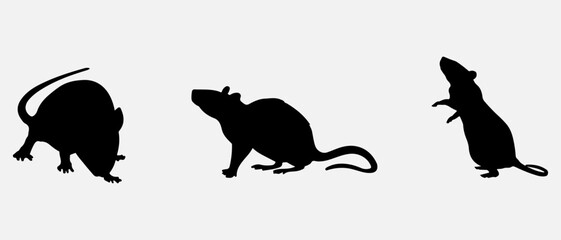 isolated black silhouette of a rat, vector collection