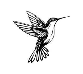 Hummingbird bird on white background.Elements for design. © our_Vector