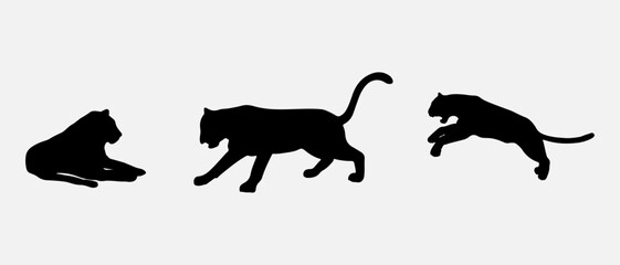 isolated black silhouette of a tiger, vector collection