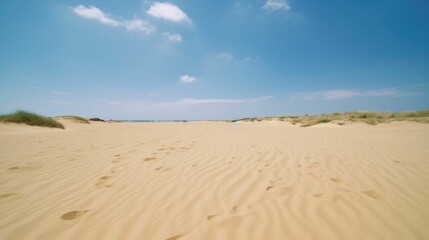 Fototapeta na wymiar A serene sandy beach with crystal clear water