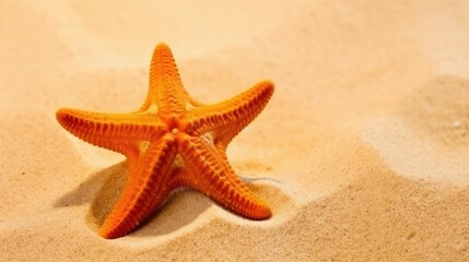 Fototapeta na wymiar Starfish on sandy beach background