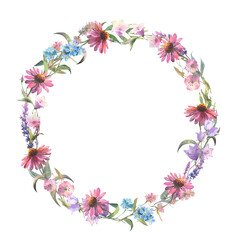 Floral wreath. Watercolor field flower round frame. Wildflowers isolated on white background. Meadow flowers circle border