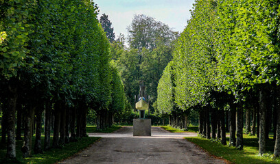 Forested alley in the French formal garden of the Castle of Rambouillet near Paris, Yvelines, France