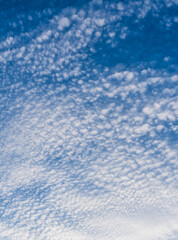 Fototapeta na wymiar blue sky with clouds vertical in summer