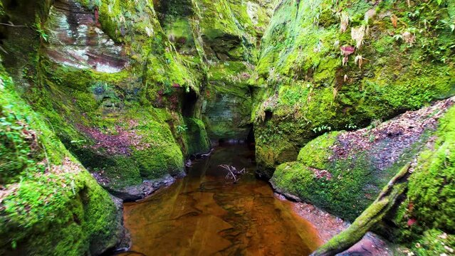 Devil's Pulpit -Finnich Glen, Scotland 2023 - Flying over the stream in the gorge