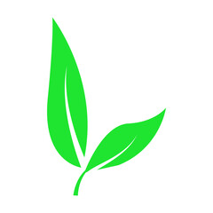 botanical icon illustration vector