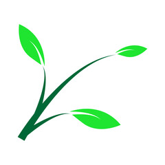 botanical icon illustration vector