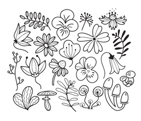 Hand drawn cute doodle line art set with spring flowers, isolated vector illustration