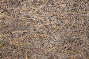 OSB plate. wood texture. wood shavings. plywood. chipboard