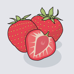 illustration vector graphic of fruit