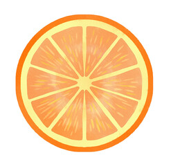 Fototapeta na wymiar 輪切りのオレンジ