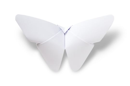 Paper butterfly origami isolated on a white background