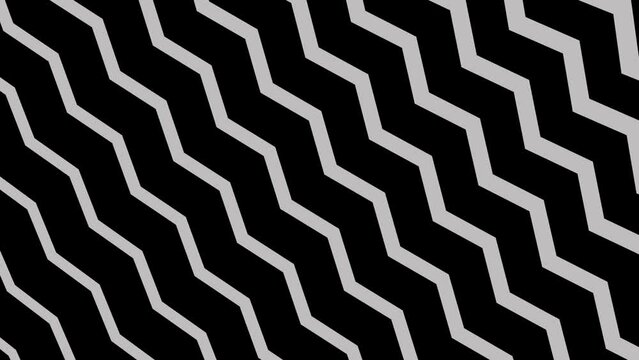 pattern of zebra