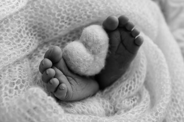 The tiny foot of a newborn baby. Soft feet of a new born in a wool blanket. Close up of toes, heels and feet of a newborn. Knitted heart in the legs of baby. Macro photography. Black and white. 