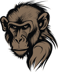 Obraz premium A Baboon Cute Vector, Animal, Cartoon
